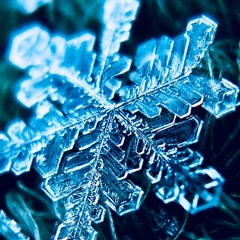 MELTING