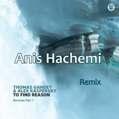 Thomas Gandey, Alex Kaspersky - To Find Reason (Anis Hachemi Remix)