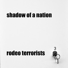 shadow of a nation