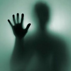 THE SHADOWS
