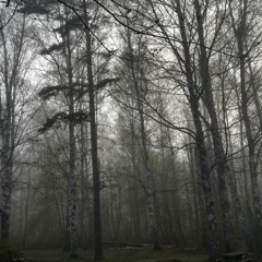 alone ft. fonz (prod. grayskies)