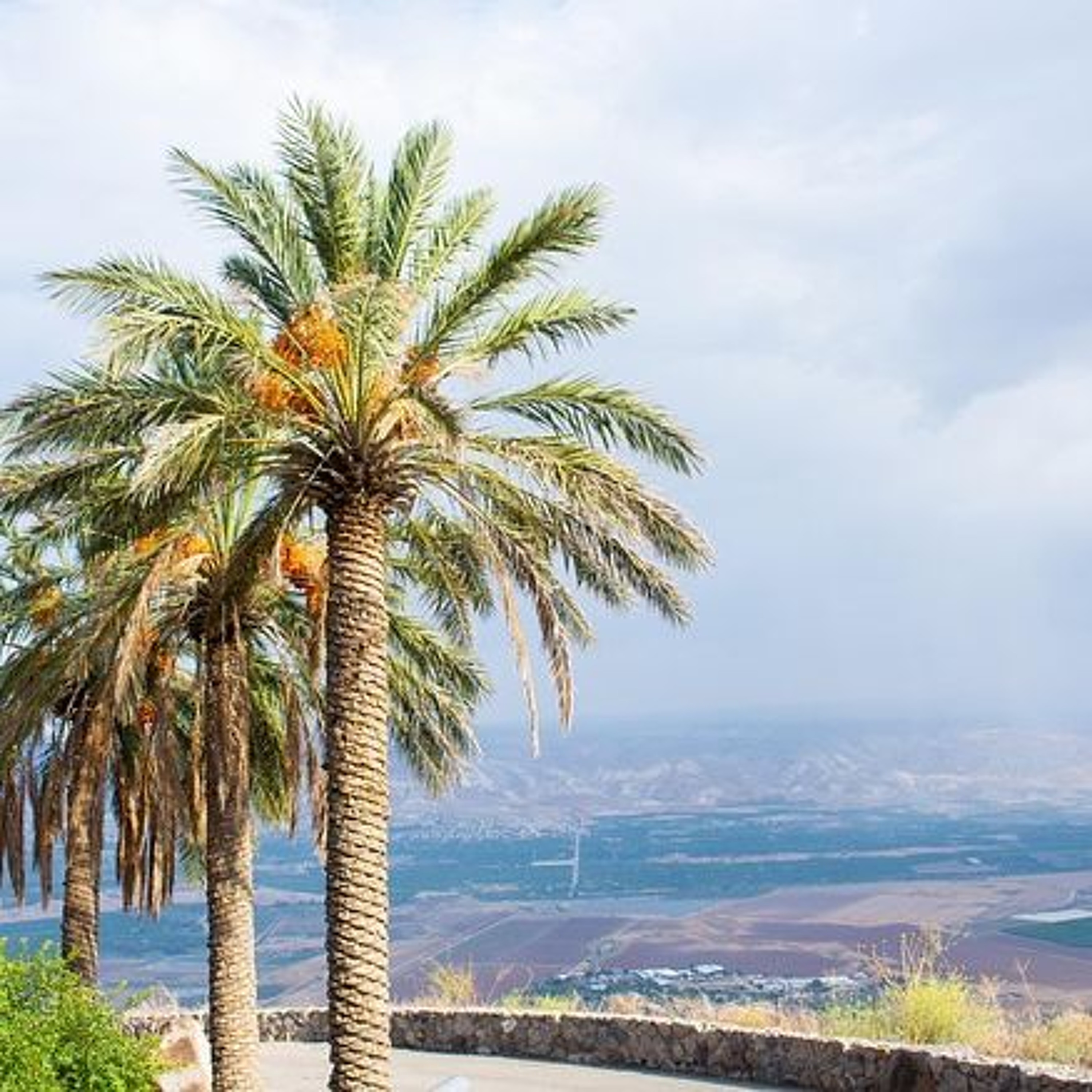 Israel News Talk Radio