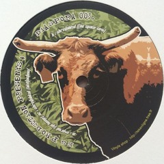 B - Christolikid - The Space Cow