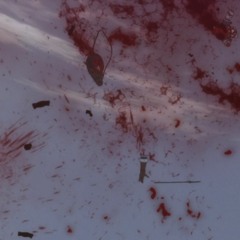 The Bright Groove Of Blood Magic (Final Edit)