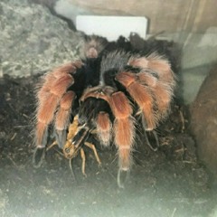 Rozpory prod. Hugo Stoned