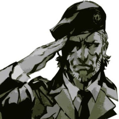 Maybe one day you’ll learn to stop hiding yourself (Solid Snake)