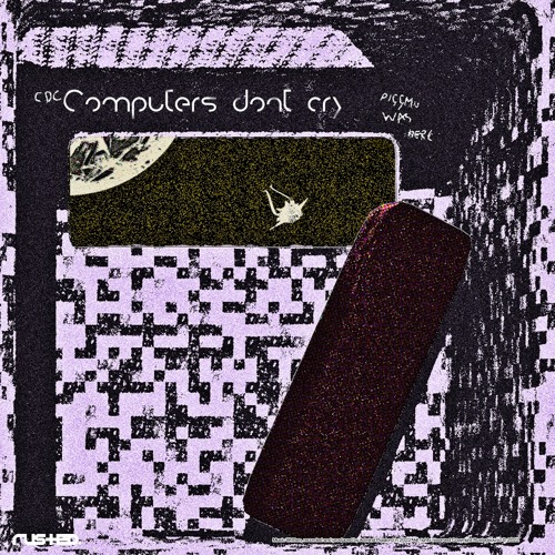 Admiral Pigglord - Computer's Don't Cry [RSR00050]