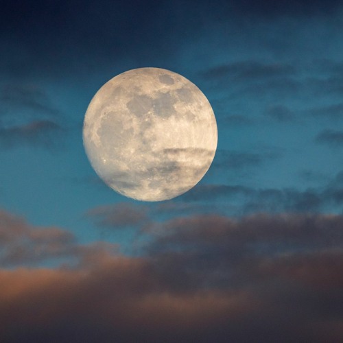 "Full Moon" (Prodby. Minor Trance + 1markmotta + Redjon Wav)