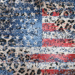 fuegoboof - uncle sam