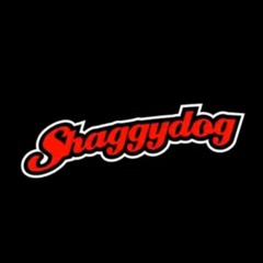 Putra Nusantara_Shaggy dog