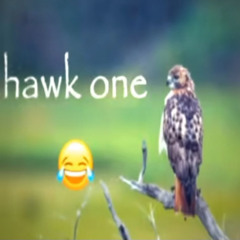 sans huile moteur svp