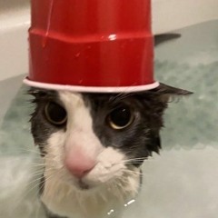 movies for guys cover