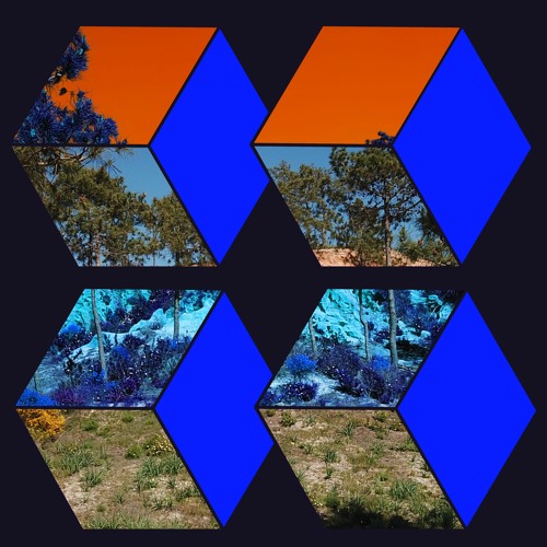 RODG - All