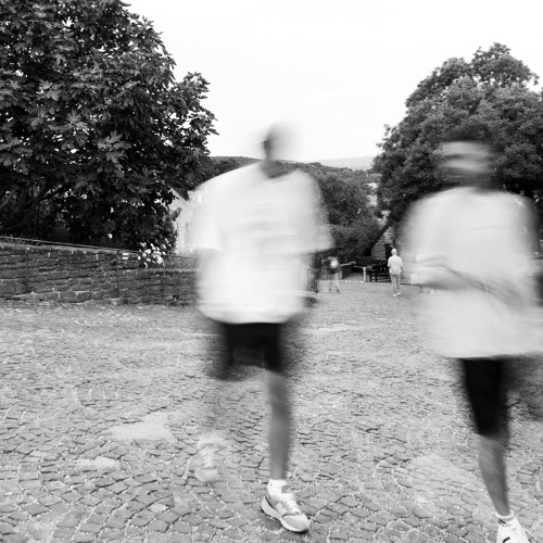 Balaton Piknik | Dubecticut & Robert Makai | 2024.06.15.