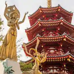 sinto falta de yokohama... 「水槽は古い、古い庭にあります。木は他の時代からのもので、幹は石を覆うのと同じ苔で緑がかっています。」🍂