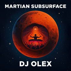 Martian Subsurface