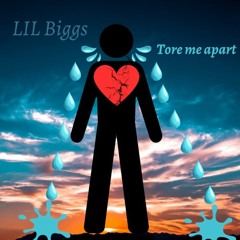 LIL Biggs - Tore Me Apart