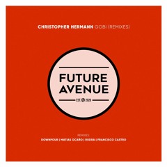 Christopher Hermann - Gobi (Downpour Remix) [Future Avenue]
