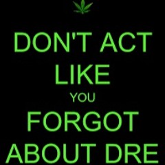 Forgot About Dre Remix