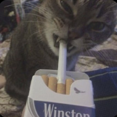 Jotace - sentimentos 2