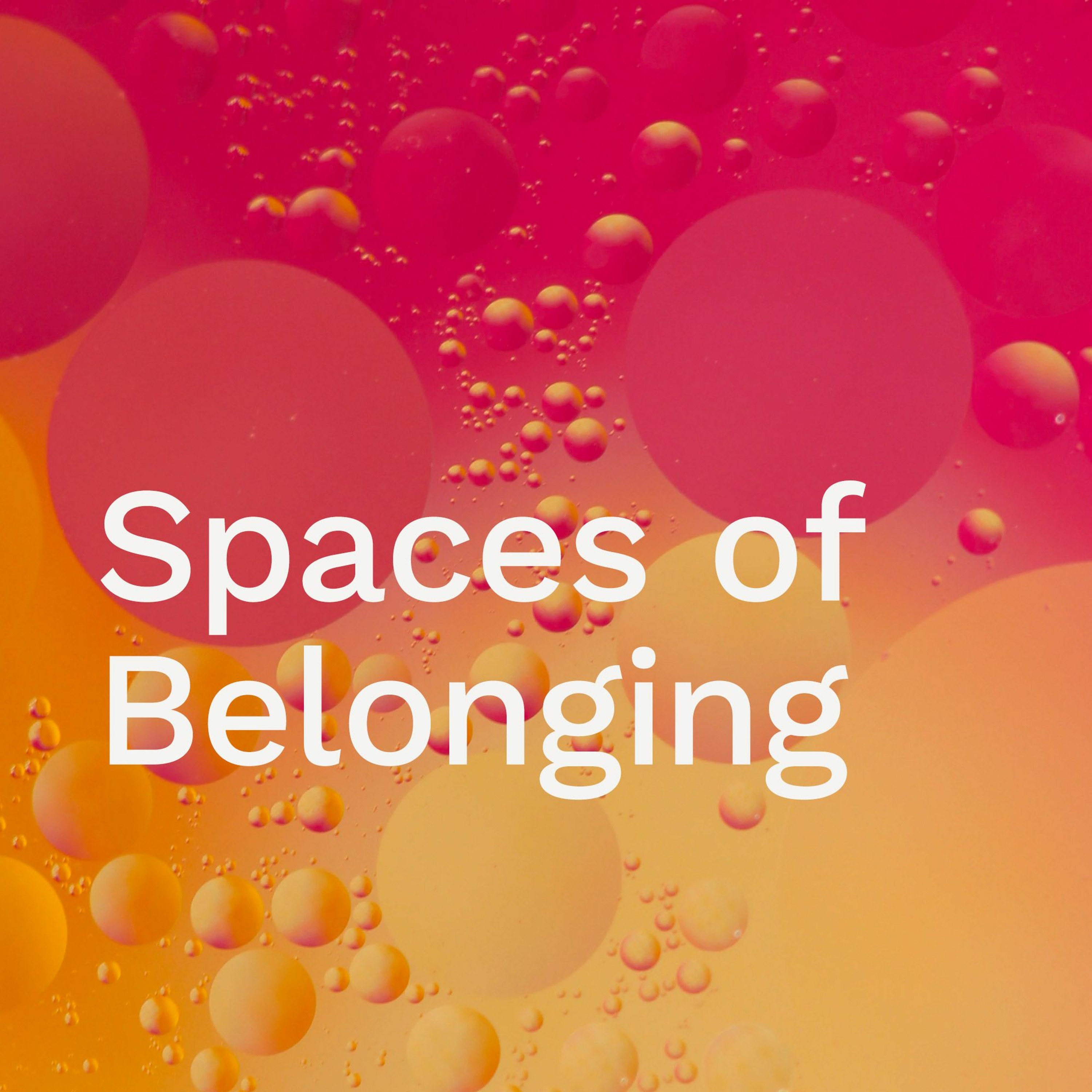 ’Spaces of Belonging’ / David McBride