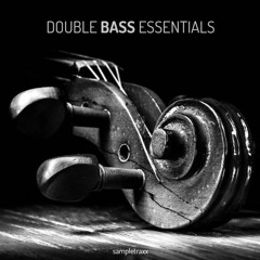 Double Bass Essentials - Samples Showcase