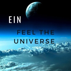 Feel The Universe
