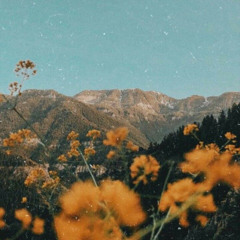 taylor swift — august (slowed down + empty arena)