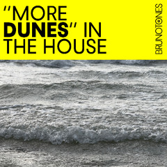 More Dunes in the House
