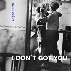 I Dont Got You