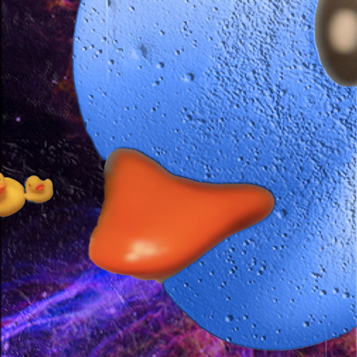 pl.anetD U C K