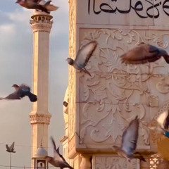 تلاوة من سورة إبراهيم - أحمد بن طالب