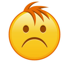 stop being mean to rxsekiddo :(