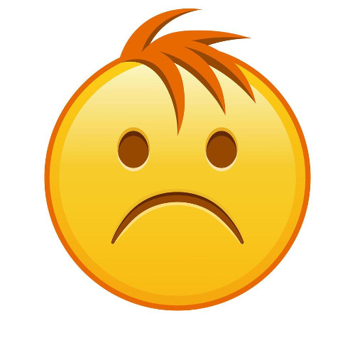 stop being mean to rxsekiddo :(
