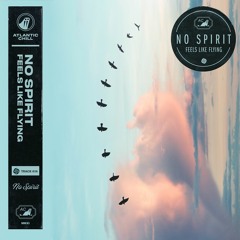 No Spirit - feels like flying