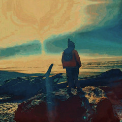 !Nspecter 95