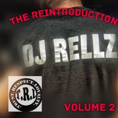 The reintroduction Vol 2 Dj Rellz