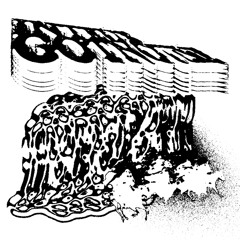 EVERYTHING W/ INTEUS [FROM NOISES BREAKING SILENCE]