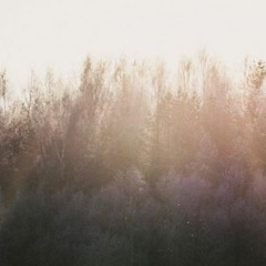 The Day Will Come [10 years old lost&found]