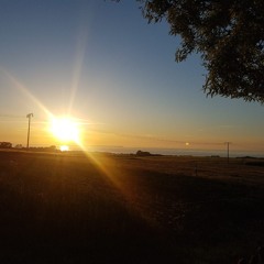 Tomcraft Will Never Die