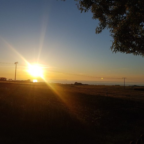 Tomcraft Will Never Die