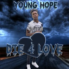 Young Hope - Harmonies