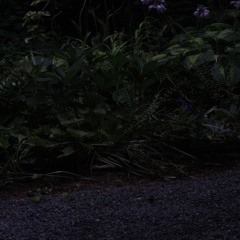 Will I Really Be Able To Remember These Moments Again?