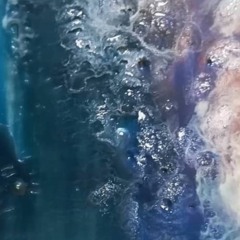 Bones Are Their Money