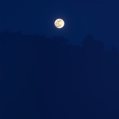 Moon Eater