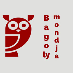 Bagoly mondja: The Naked Gun (2025)