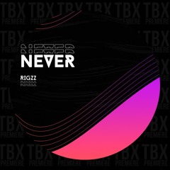 Premiere: Rigzz - Never [Meed Records]