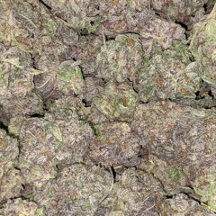 GUERRERO (HOMS PRODMX)