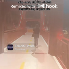 Blasterjaxx - Beautiful World (@bethrebs Hook Remix)