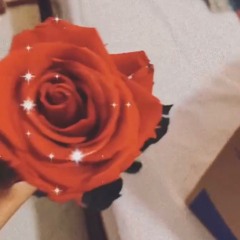 Her Rosed Identity
